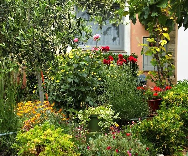 With Parking Space - 6323 * Vir